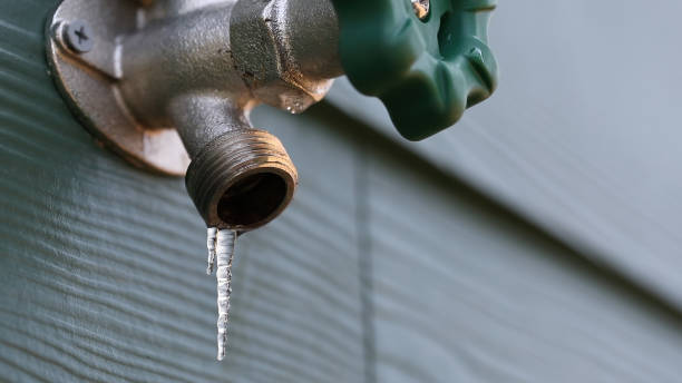 Best Local Plumber Services  in Campbell, MO